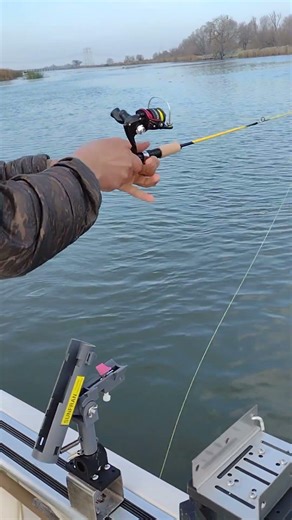 Boat mount. Hook-setting Rod Holder