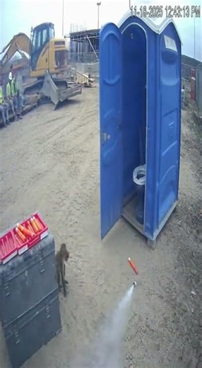 Monkey Explodes Porta-Potty
