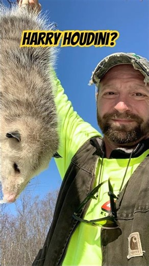 You never know what you’ll find on the line…this opossum must’ve taken lessons from Houdini! 🪤😆