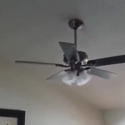 I can pull an engine, rebuild it, and put it back in within 8 hours. You're god damn right I can put in a ceiling fan... | Mechanic Memes