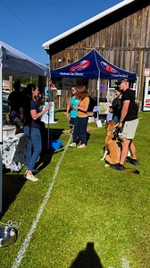 Navarre Chamber on Reels