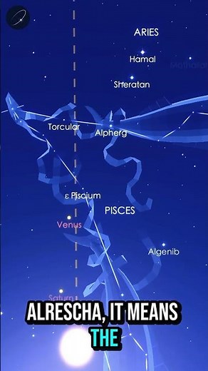 Watch this if your star is PISCES!! | Ep 1