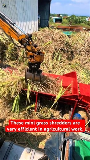 These mini grass shredders are very efficient in agricultural work. #music #new #machine #farming