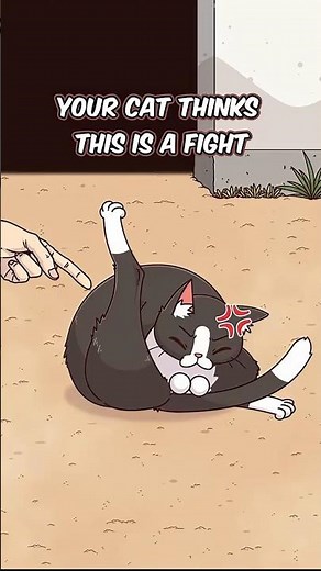 Your Cat Thinks This Is a Fight