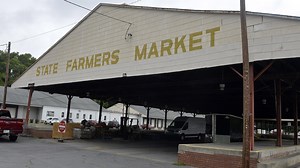 Who are the candidates for Ag, Labor and Insurance commissioners in 2022 Georgia election?