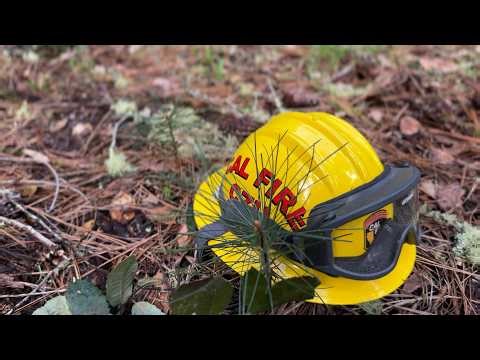 The Balance of Safety and Science: 🌲Graham Hill Expansion Fuel Reduction Project