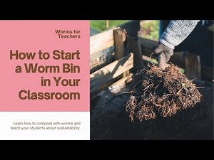 Creating a Classroom Worm Bin: A Teacher's Guide to Educational Vermiculture 🌿🪱"