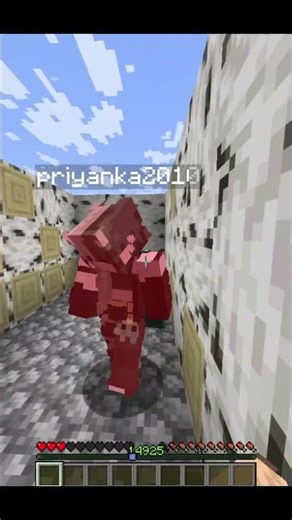 Minecraft Maze Game #minecraft #shorts