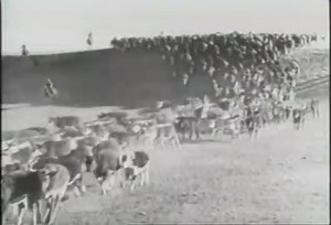 The Return of Frank James (1940)