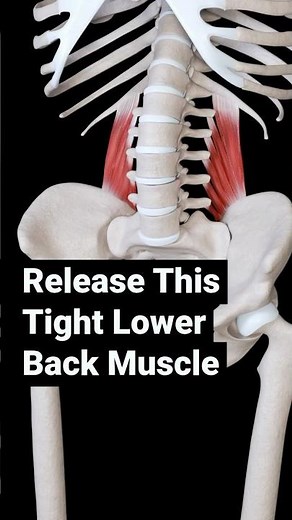 Side Back Pain Relief Stretches | Quadratus Lumborum Tightness Release