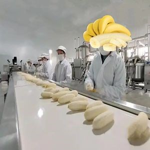 [Hot Item] High Quality Banana Puree Powder Production Line Banana Juice Powder Processing Machine