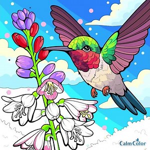Hummingbird Magic 🌺✨ | Flying & Drinking from Flowers