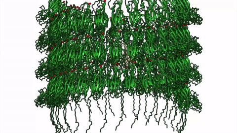 Extreme engineering: Unlocking design secrets of deep-sea microbes