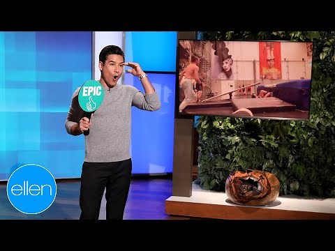 Extreme Surfboarding & Skating in These Epic or Fail Videos!