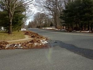 Marlboro Leaf Collection Continues