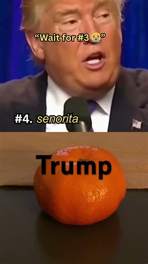 Donald Trump remix song