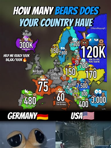 Explore Bear Populations by Country