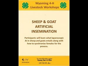 Sheep & Goat AI Infromational Workshop