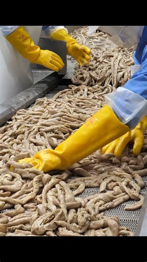 FOOD on Instagram: "Amazing Food! Korea's Popular Mass-Produced Beef Offal Factory"