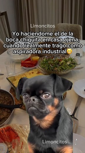 REAL JAJAJAJA | Limoncitos club