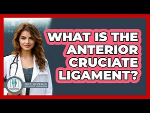 What Is The Anterior Cruciate Ligament?