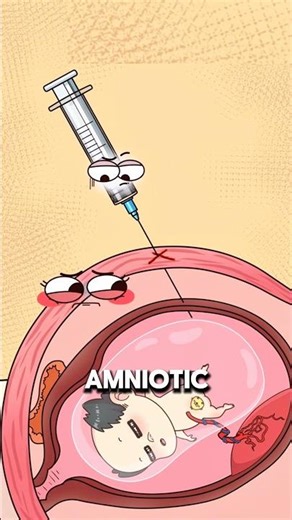 How Doctors Check a Baby’s Health During Pregnancy 🩺🤰..!!#health #2dshow #fypシ #foryou #e2dhealth