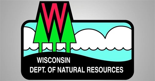 DNR offers free tree seedling to Wisconsin 4th graders