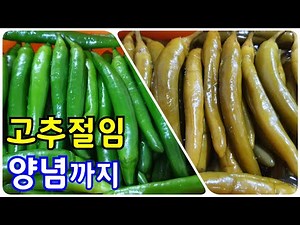 고추절임 만들기 부터 삭힌고추무침만들기 까지 고추요리 고추절임장아찌 삭힌고추 레시피
