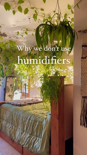 emily joy rosen on Instagram: "We’ve found that plants themselves do a much better job humidifying than actual humidifiers 🪴 The better solution for plants that need super high humidity is typically grow cabinets, where their humidity can be enclosed and contained. Do you use humidifiers with your plants? 🌿 . . @joy.of.plants.shop . . #plantcare #plantcaretips #plantdecor #plantdesign #indoorjungle #urbanjungle #joyofplantsshop"