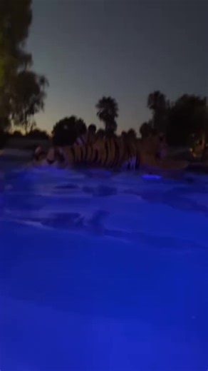 #fursuiter #fursuiting #fursuit #furryfandom #furrytiktok