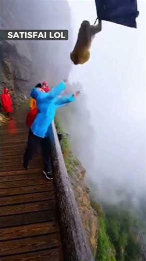 The monkey wants to fly