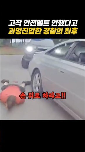 The fate of the police who used excessive force merely for not wearing a seatbelt