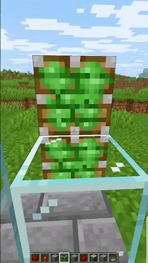 Automatic Door🤯 #minecraft