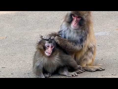 Punch got tough! No more crying or running around in panic.