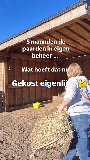 Bij een gezond paard met keuze vrijheid hoort een goed en aangepast rantsoen❗ Ik heb nu 6 maand mijn paarden in eigen beheer. Wat vliegt de tijd. Dus tijd om eens te kijken hoeveel hooi er door gevlogen is en wat het allemaal heeft gekost! Toen ik zelf mocht gaan voeren had ik eerst keuzestress zoveel soorten zoveel meningen en het ene nog duurder dan het andere! Ik ben uiteindelijk gebleven bij de basis goed hooi een ruwvoermix en een goede balancer en nog ondersteuning met supplement De supple