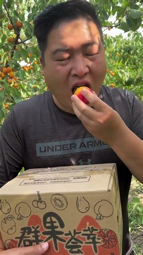 Fresh Apricots! 🍑✨ Ultimate Orchard Fruit Picking Vlog 🌳🧺#FruitLover #HealthyEating #CleanEating