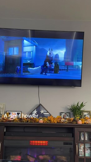 Exploring Zootopia: The Night Howler Phenomenon