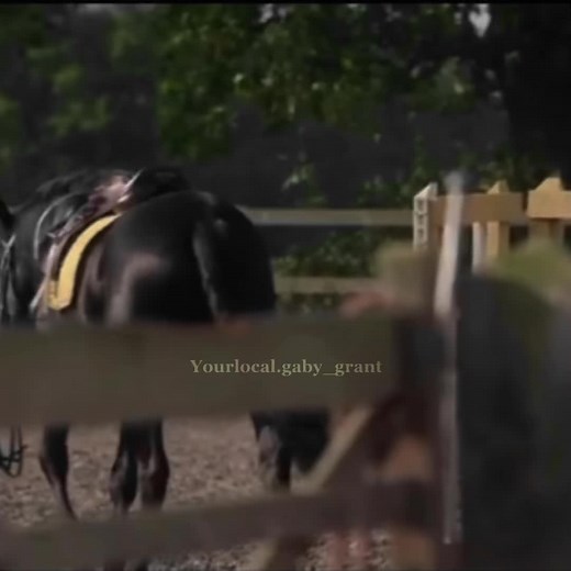 Marcus' Emotion in Free Rein: A Character Deep Dive