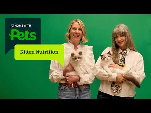 Kitten nutrition made simple | At Home with Pets