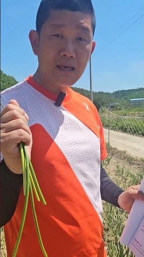 How to Harvest and Store Garlic Bulbs for Free Garlic Seeds (God of Farming)