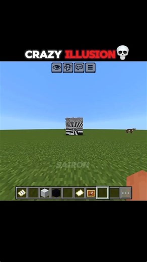 Minecraft Crazy Illusion