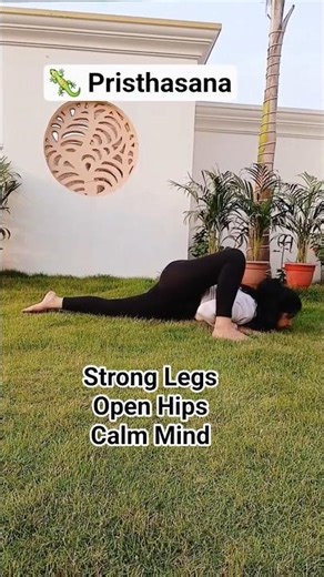 Lizard Pose (Pristhasana) | Deep Hip Opener for Flexibility & Mobility