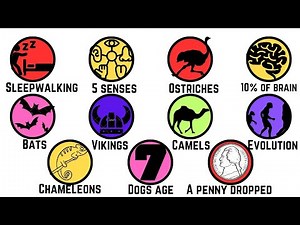 EVERY Common Misconception DEBUNKED in 8 minutes