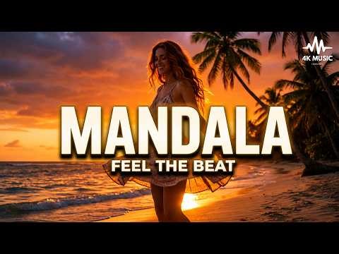 Fly Project — Mandala | Techno & House Remix 2026 | THIS BASS IS UNREAL 🔊