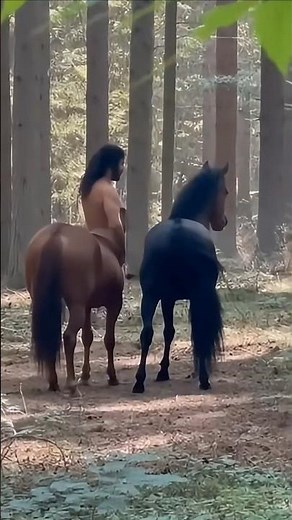 Real Centaur Caught on Camera in the Forest!