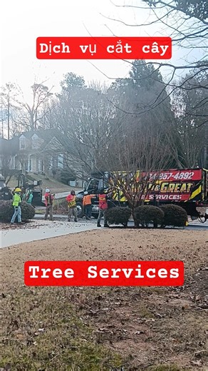 #howto Tree Services Dịch vụ cắt cây