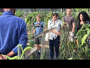 Vanilla 2021 in Homestead, Florida, USA