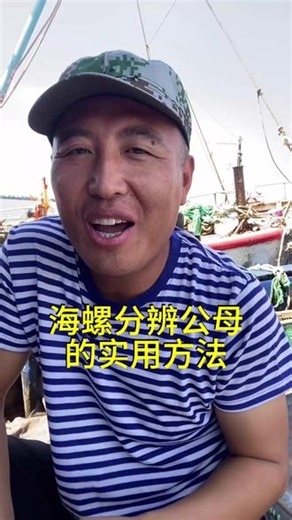 海螺分辨公母的实用方法#海鲜原产地 #美食 #育儿 #海螺