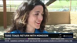 ALERT: Keep your pets away from the Arizona toxic toads. http://12ne.ws/1Ljtyle | 12News