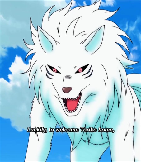 #toriko #Anime #animetiktok #animerecommendations #fypシ | Toriko Anime